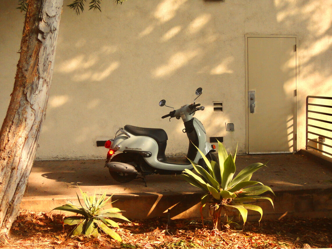 12.4.2024 i&#39;d rather get ran over by this than a bird scooter.