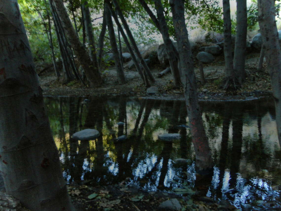 10.24.2024 eaton canyon! something about this creek is shakespearean to me. don&#39;t ask how.