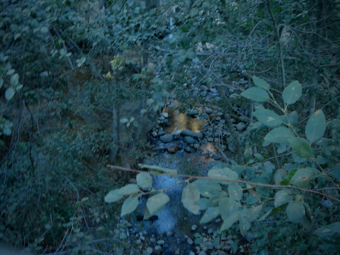 10.24.2024 eaton canyon! golden reflection in the creek